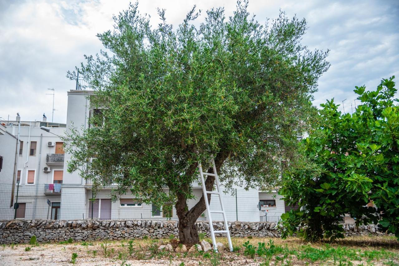 Trulli Dimora Palmisano Apartment Locorotondo Luaran gambar